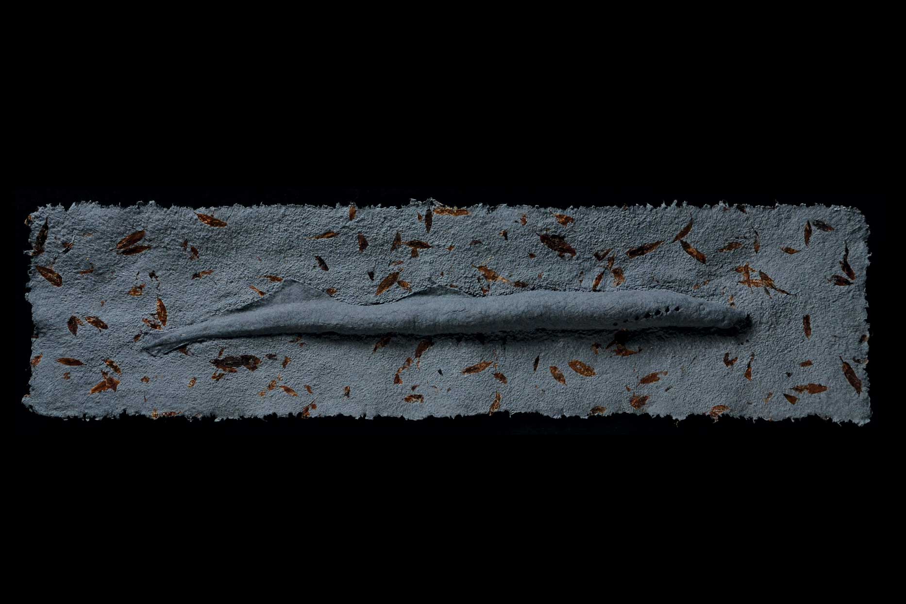 Lamprey